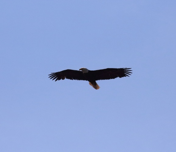 2019 05 08 HTP 90363e